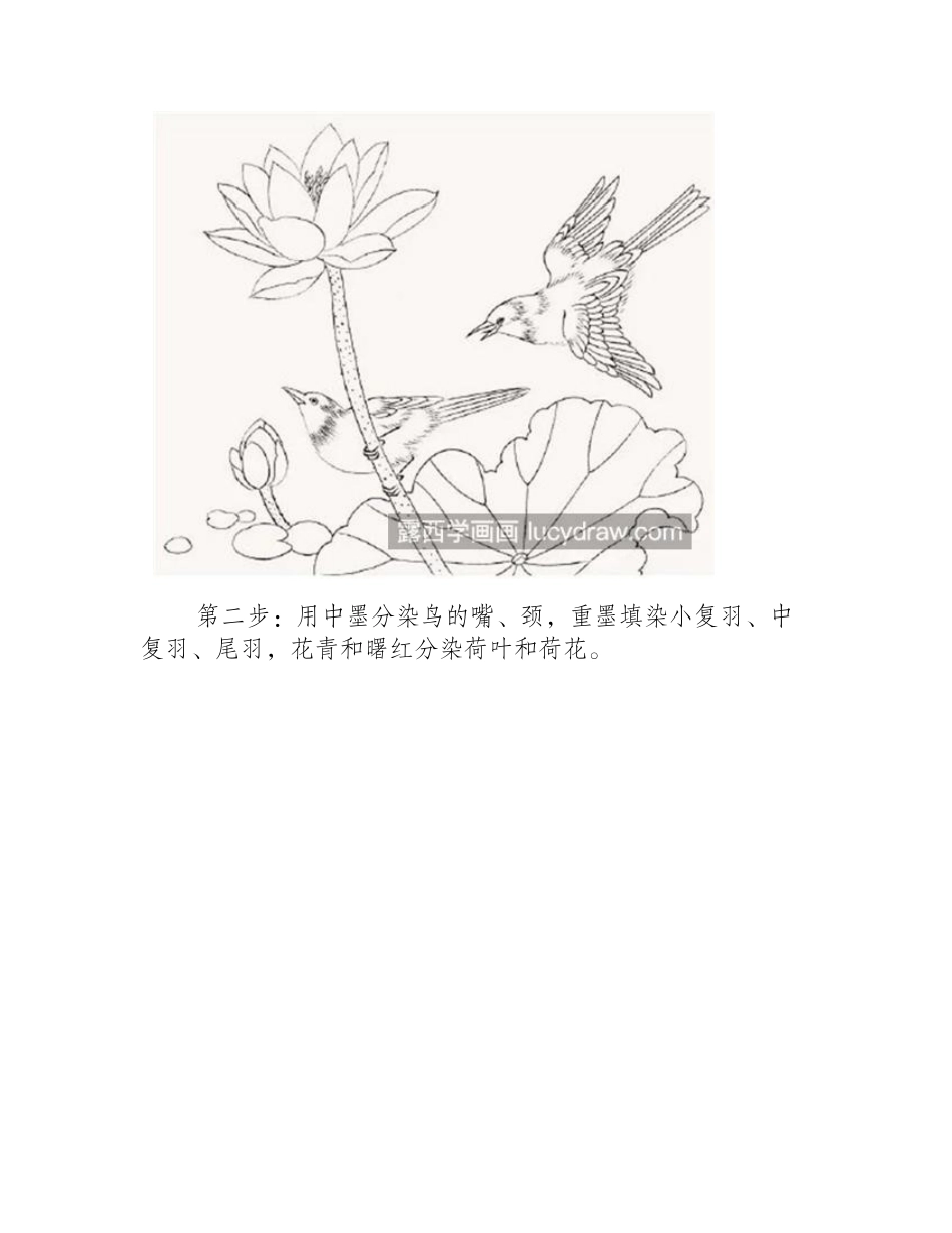 脊苓鸟怎么画_具体有哪些绘画步骤_工笔画教程_第2页