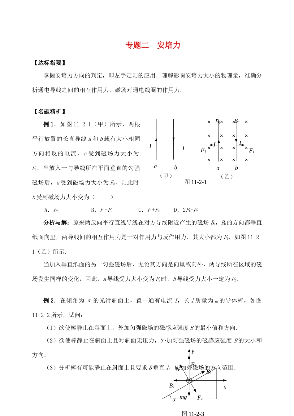 高三物理 专题二 安培力复习讲义_第1页