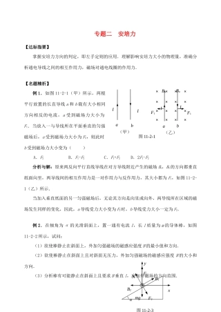 高三物理 专题二 安培力复习讲义