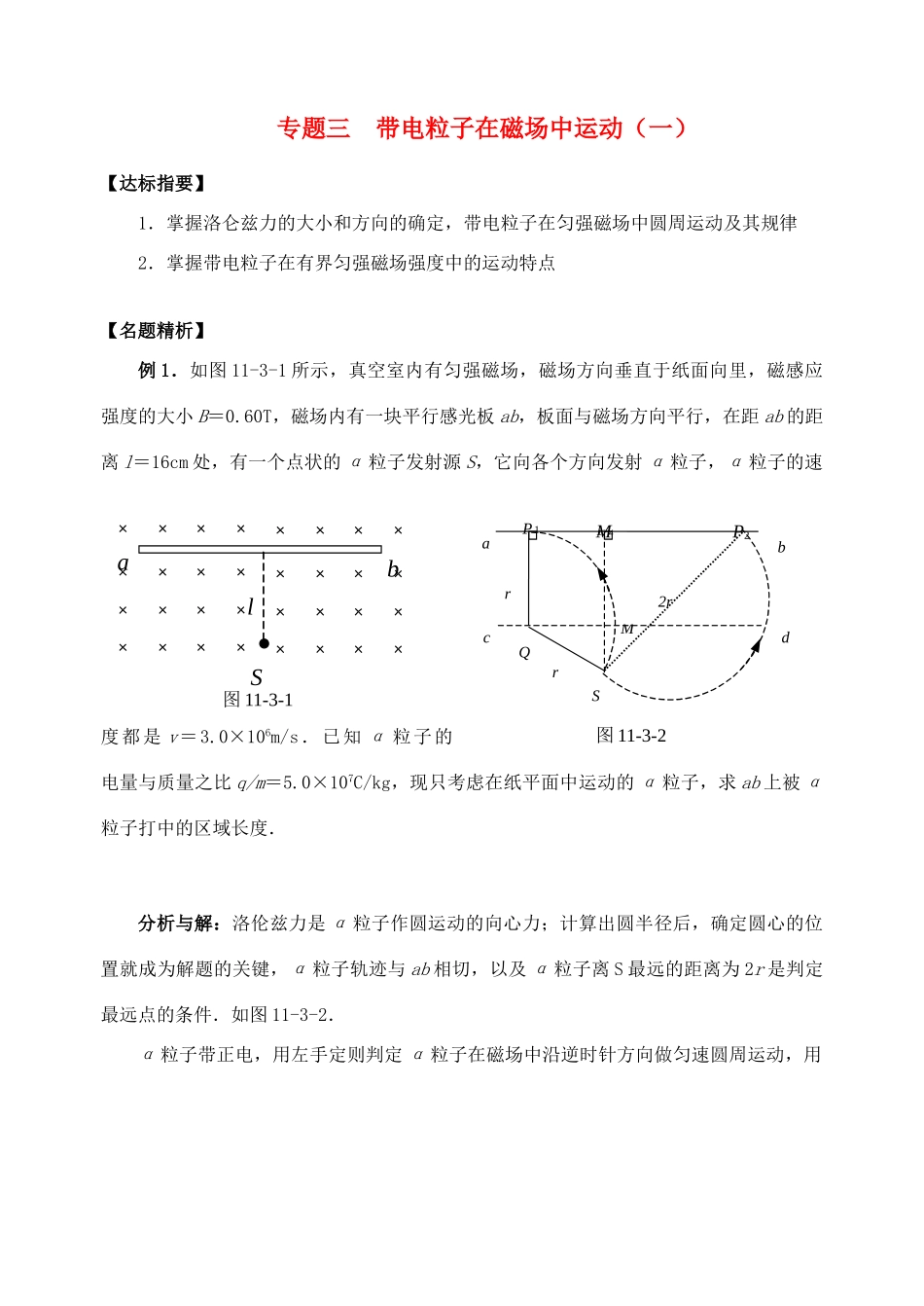 高三物理 专题三 带电粒子在磁场中运动（一）复习讲义_第1页