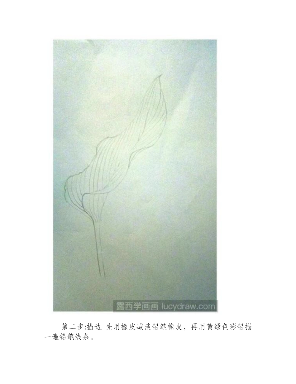 简单的绿叶彩铅画怎么画彩铅画教程1_第2页