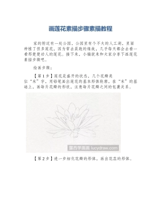 画莲花素描步骤素描教程