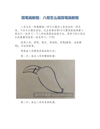 简笔画教程：八哥怎么画简笔画教程