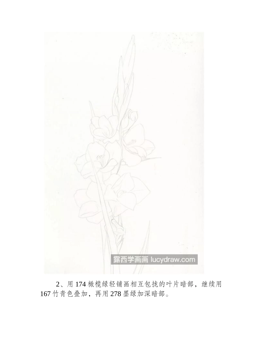 红色剑兰怎么画_教你画一株彩铅剑兰彩铅画教程_第2页