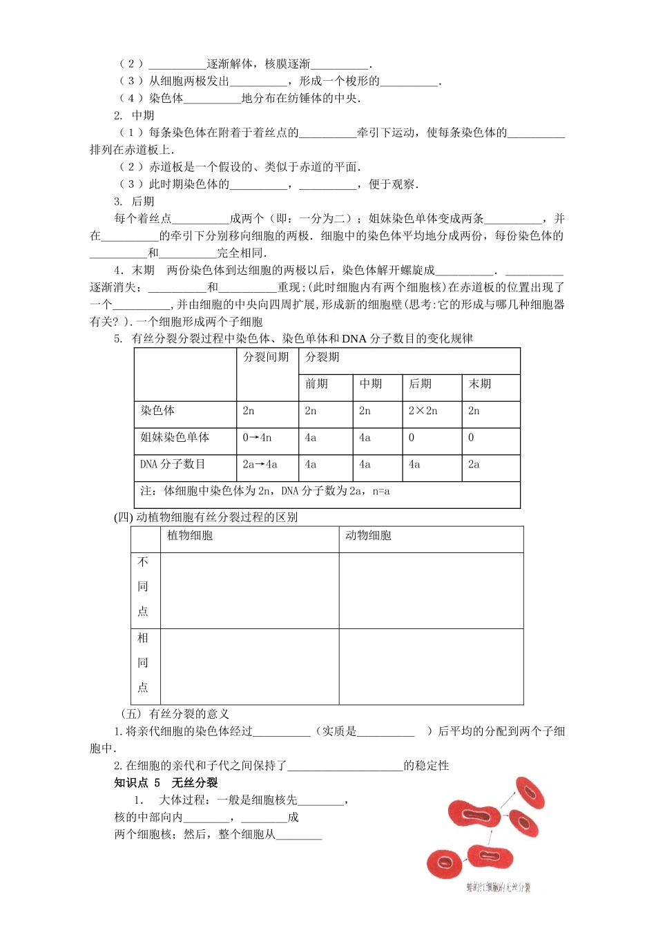 高一生物第六章细胞的生命历程第一节细胞的增殖教案_第3页
