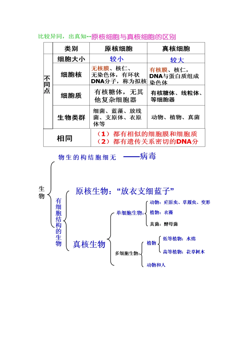 高一生物第一章第一轮复习总结教案新人教版必修1_第2页