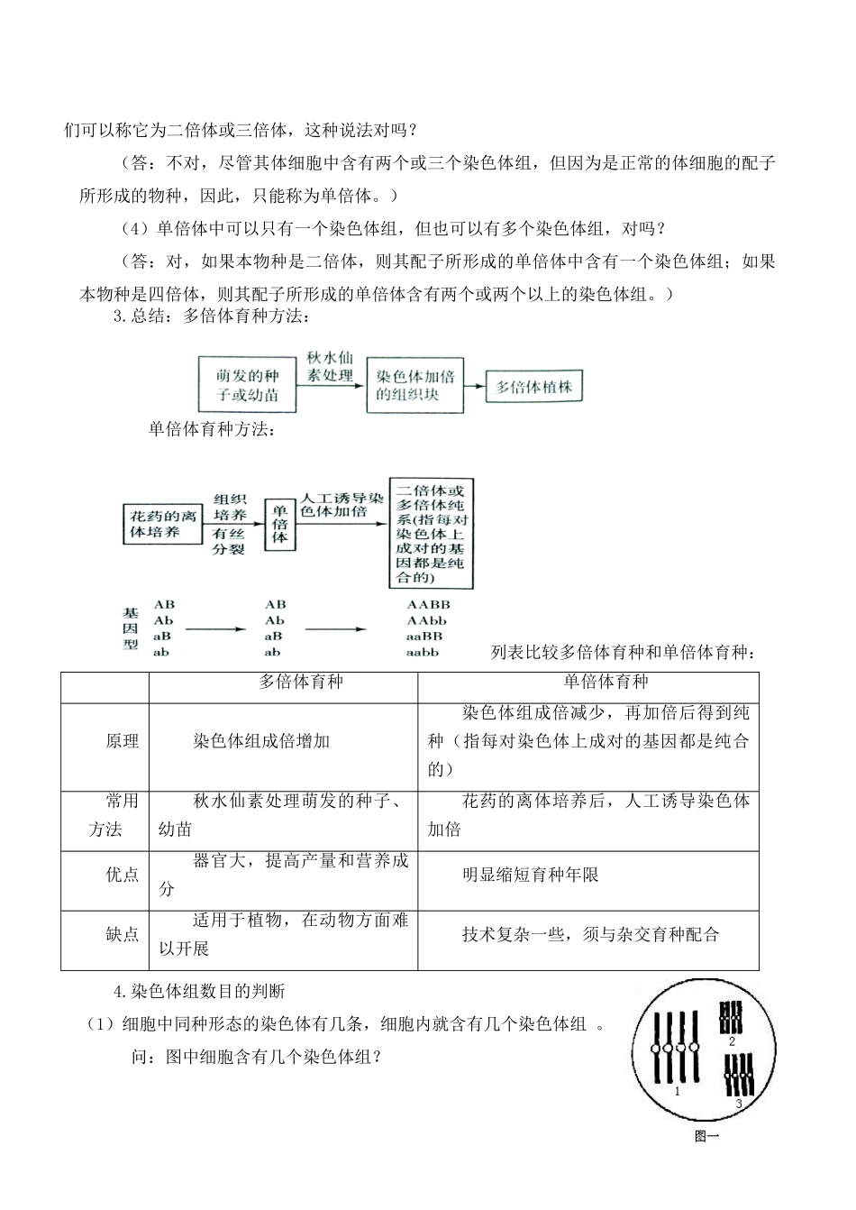高一生物必修2 基因突变及其他变异_第3页