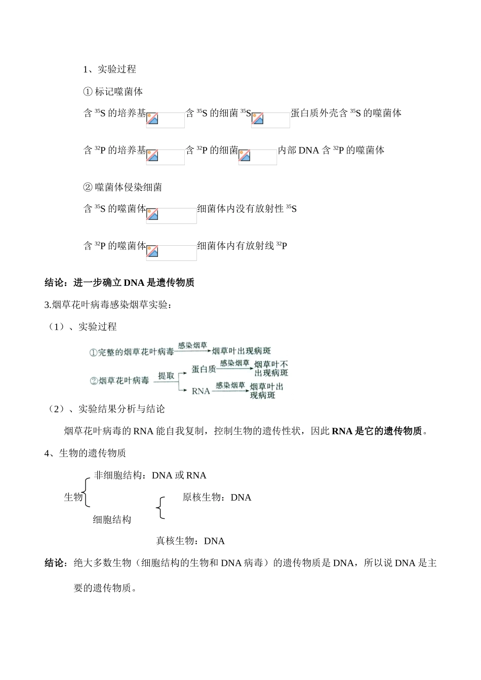 高一生物必修2 基因的本质_第2页