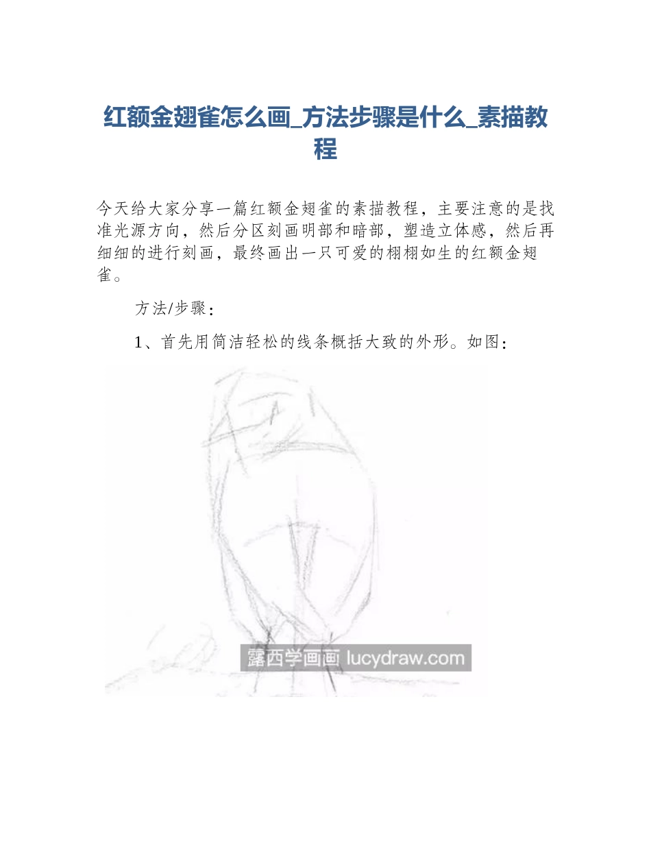 红额金翅雀怎么画_方法步骤是什么_素描教程_第1页