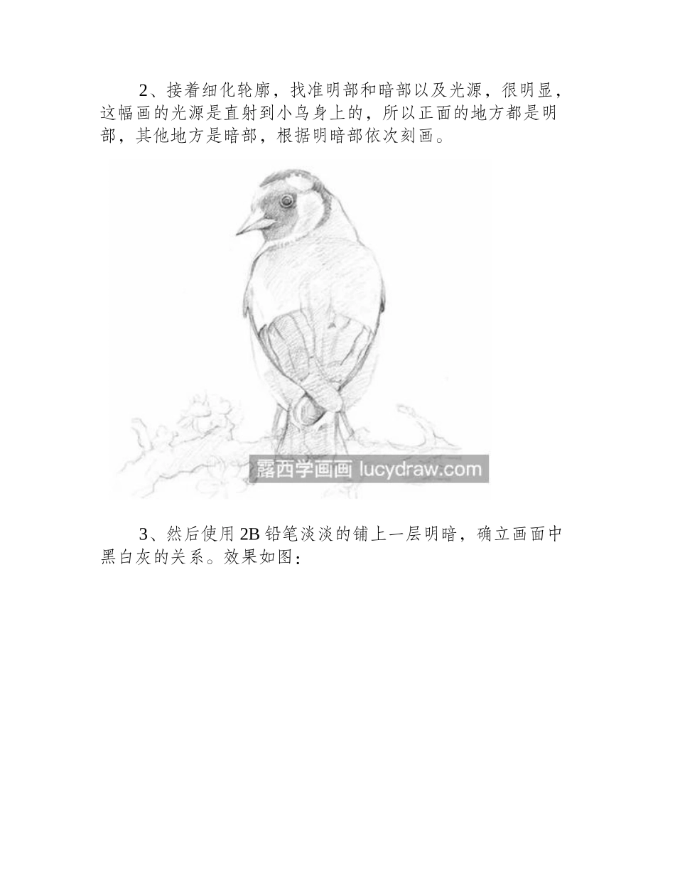 红额金翅雀怎么画_方法步骤是什么_素描教程_第2页