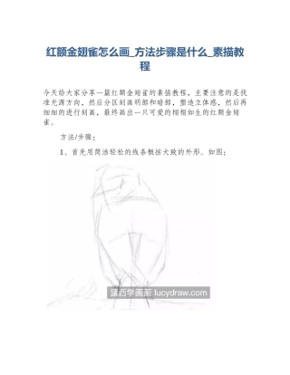 红额金翅雀怎么画_方法步骤是什么_素描教程