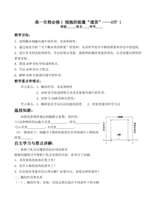 高一生物必修1 细胞的能量“通货”----ATP 1