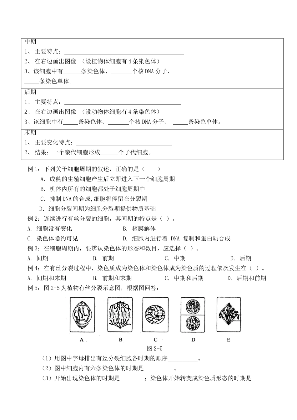 高一生物必修1 细胞的增殖（第1课时）_第3页