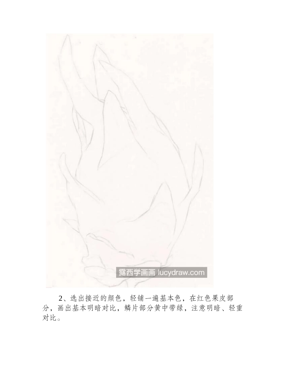 火龙果怎么画_上色步骤是什么_儿童画教程_第2页