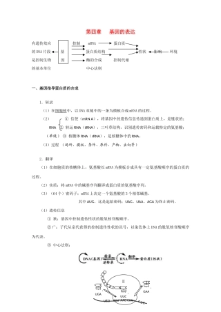 高一生物《遗传与进化》单元知识结构：第四章《基因的表达》新人教版必修2
