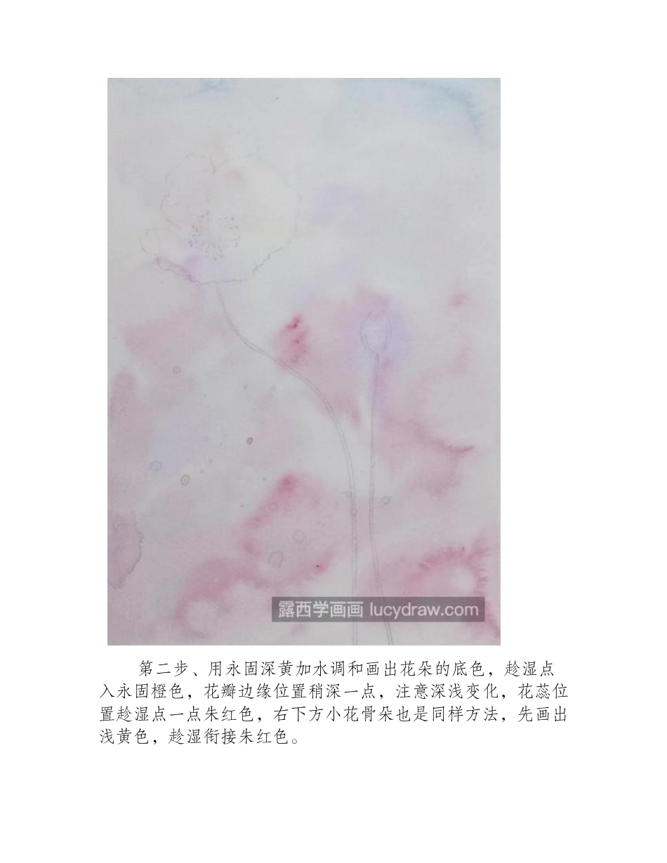 黄色虞美人怎么画_绘画步骤是什么_水彩画教程_第2页