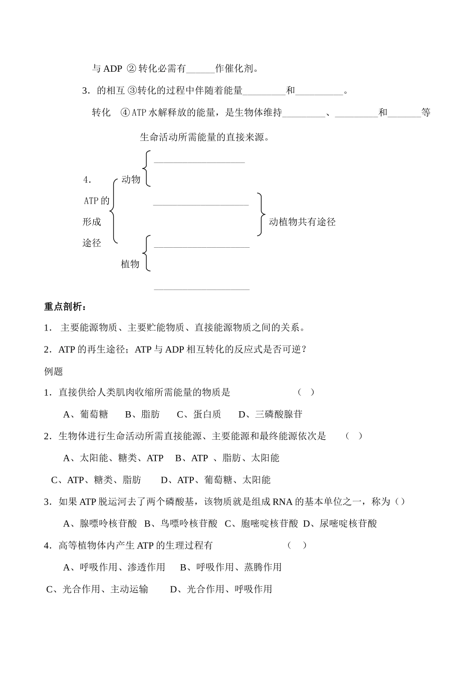 高一生物 细胞的能量“通货”──ATP_第2页