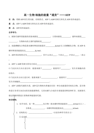 高一生物 细胞的能量“通货”──ATP