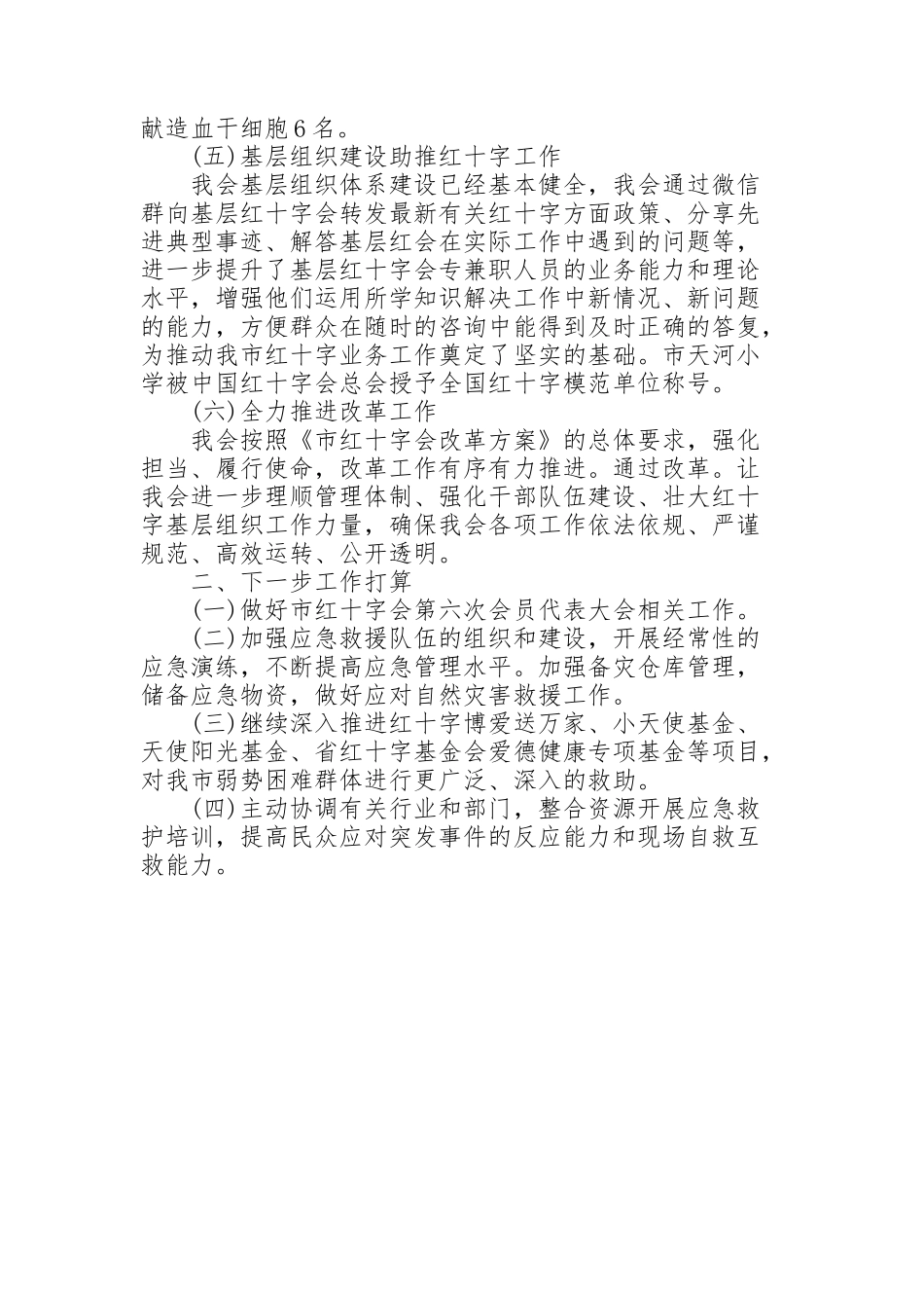红十字会年度工作总结及下一步工作打算_第2页
