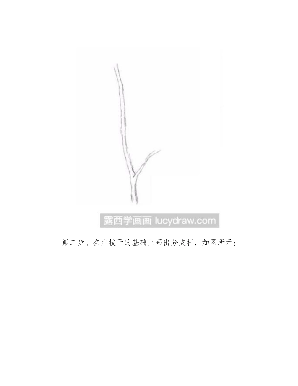 简笔画教程：教你画蛇床花简笔画教程_第2页