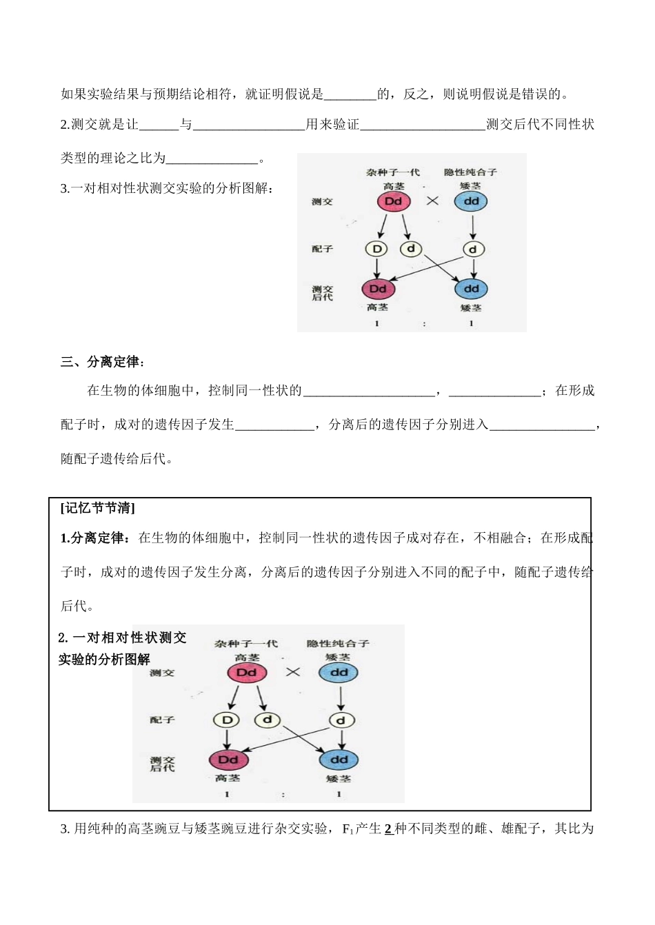 高一生物 孟德尔的豌豆杂交实验（一）（第二课时）_第2页