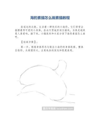 海豹素描怎么画素描教程
