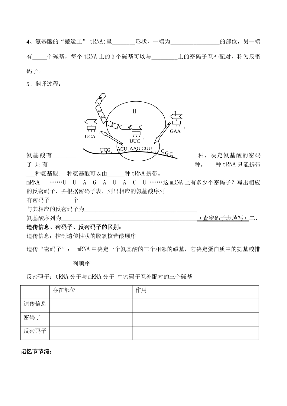 高一生物 基因指导蛋白质的合成_第2页