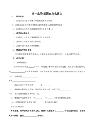 高一生物 基因在染色体上