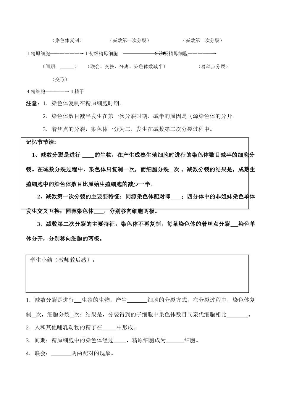 高一生物 减数分裂和受精作用（第一课时）_第3页