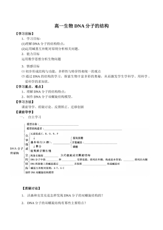 高一生物 DNA分子的结构