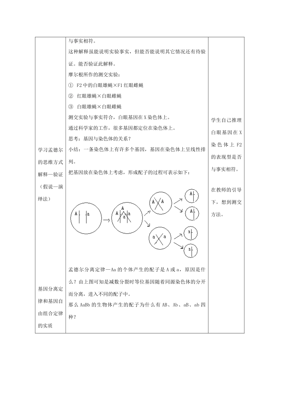 高一生物 2.2《基因在染色体上》教案（新人教版必修2）_第3页