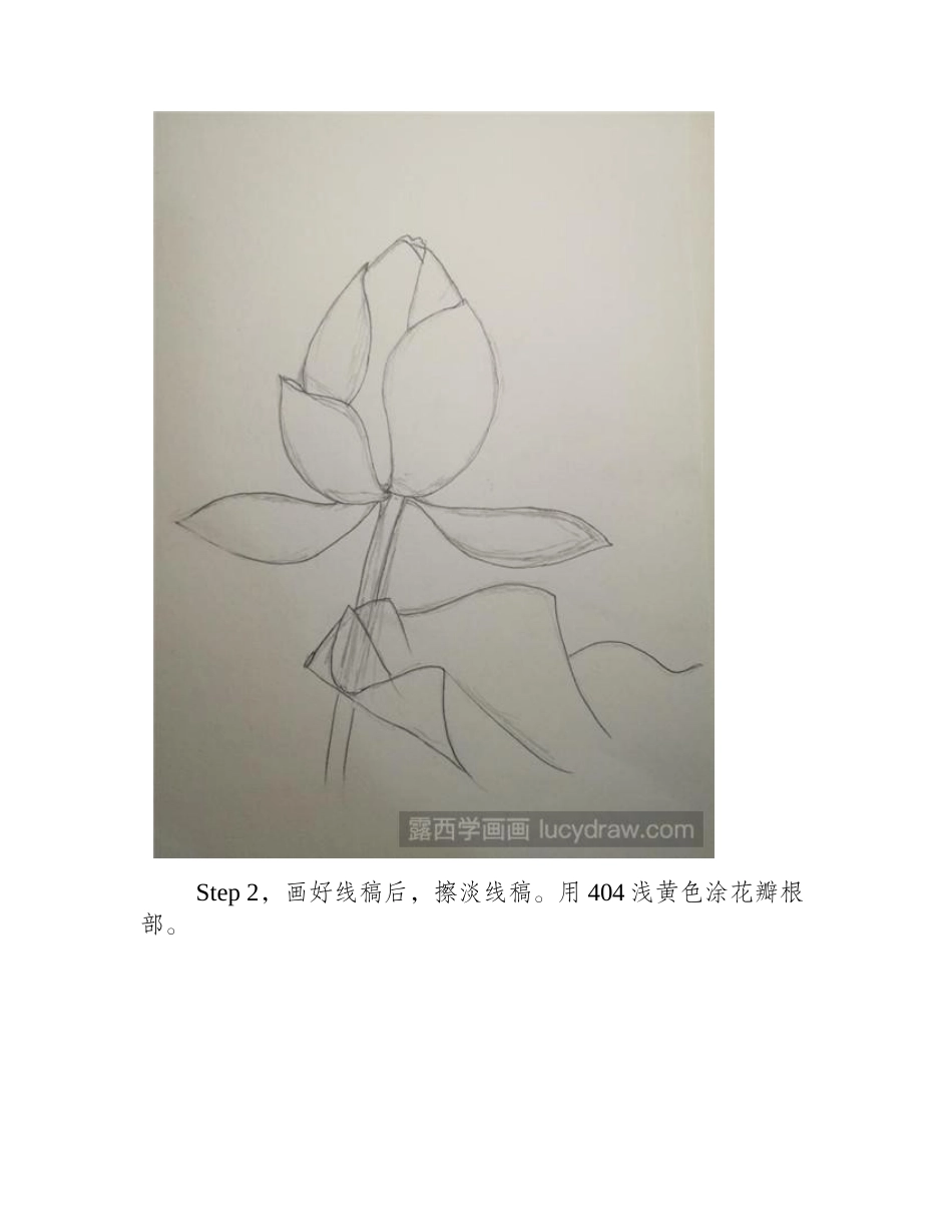 荷花苞怎么画彩铅画教程_第2页