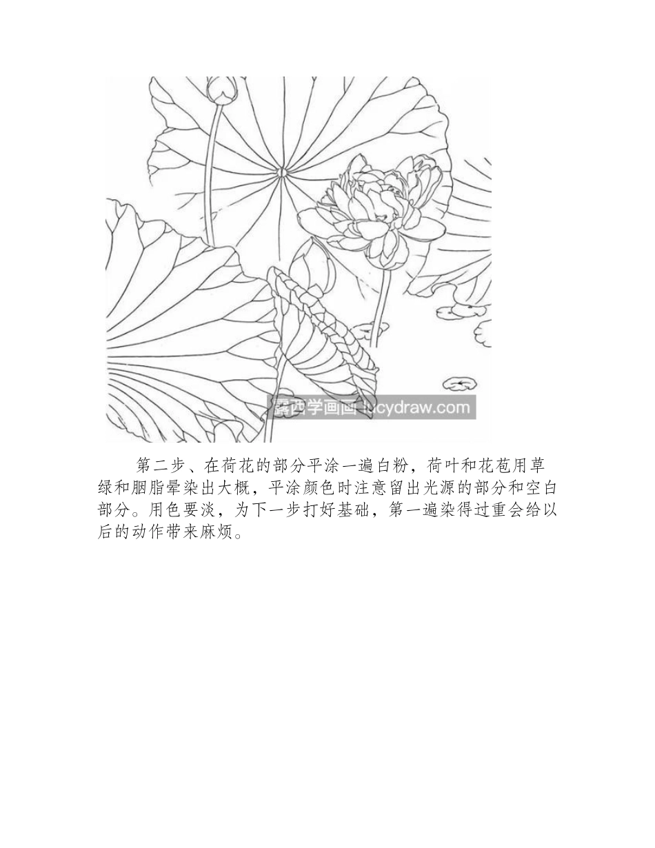 荷叶上的露珠怎么画_荷花工笔画步骤有几步_工笔画教程_第2页