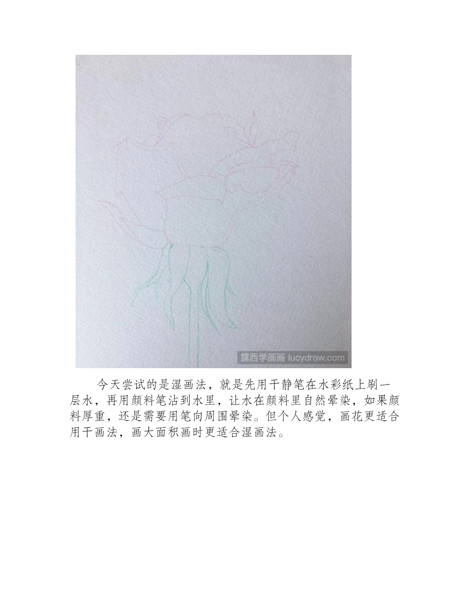 红玫瑰水彩画教程分享水彩画教程_第2页