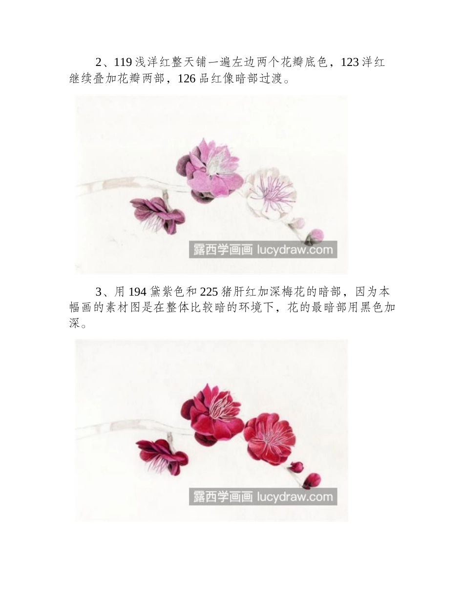 红梅怎么画_一枝红梅彩铅画教程是什么_彩铅画教程_第2页