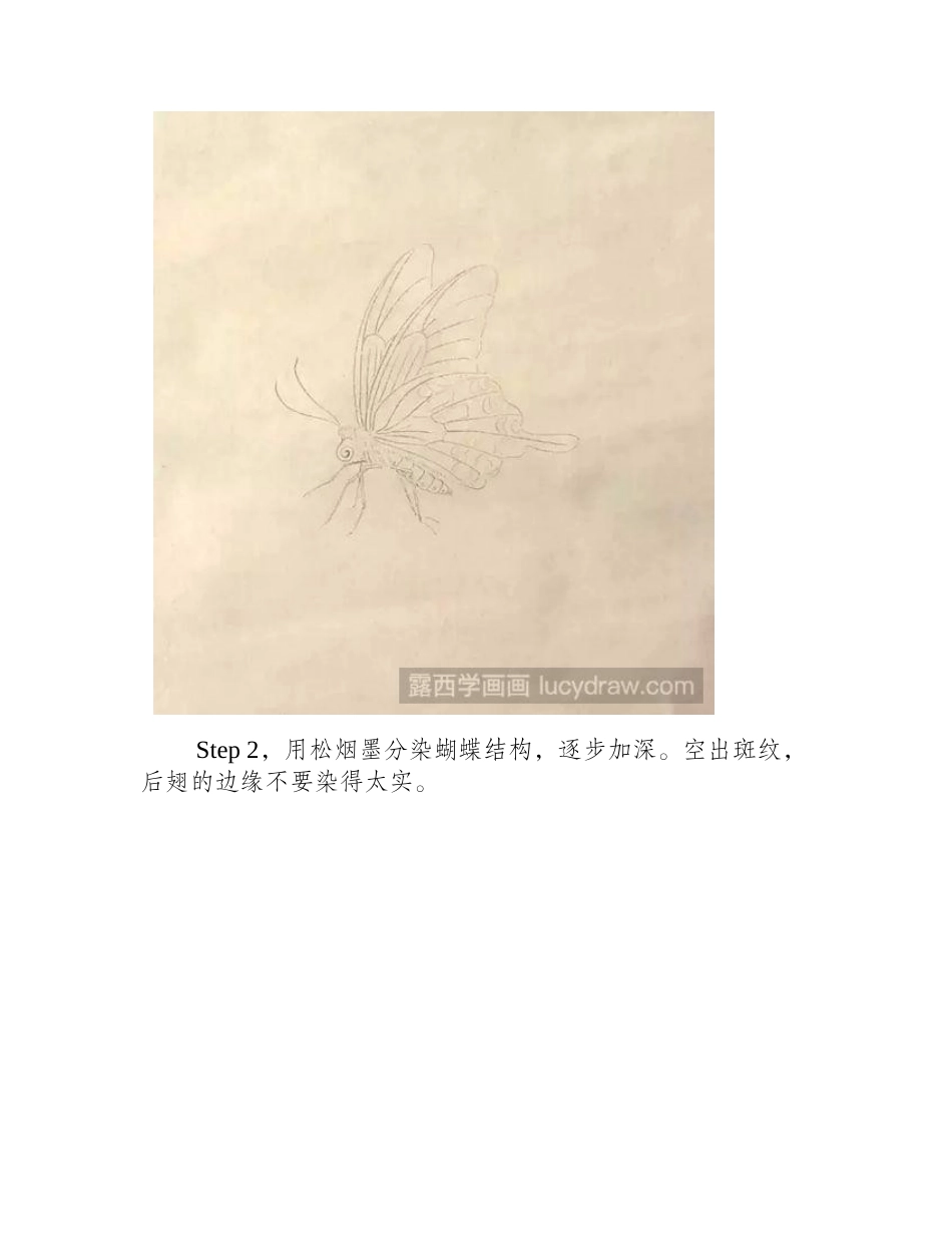 蝴蝶工笔画步骤工笔画教程_第2页