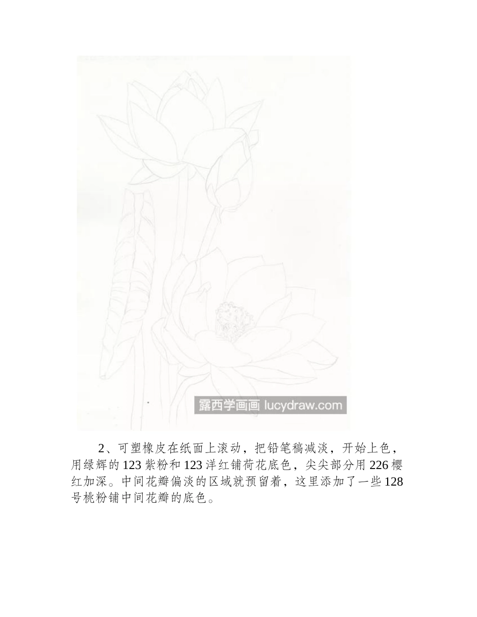 荷花翠鸟怎么画_超级详细的彩铅教程分享彩铅画教程_第2页