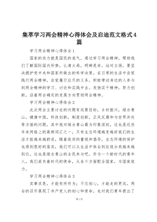 集萃学习两会精神心得体会及启迪范文格式4篇