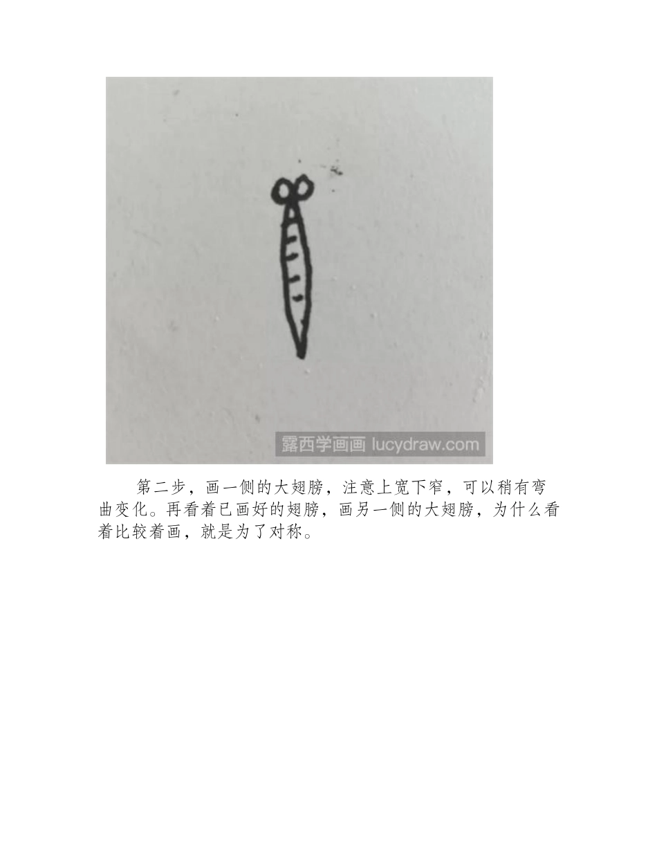 简笔画蝴蝶怎么画简笔画教程_第2页