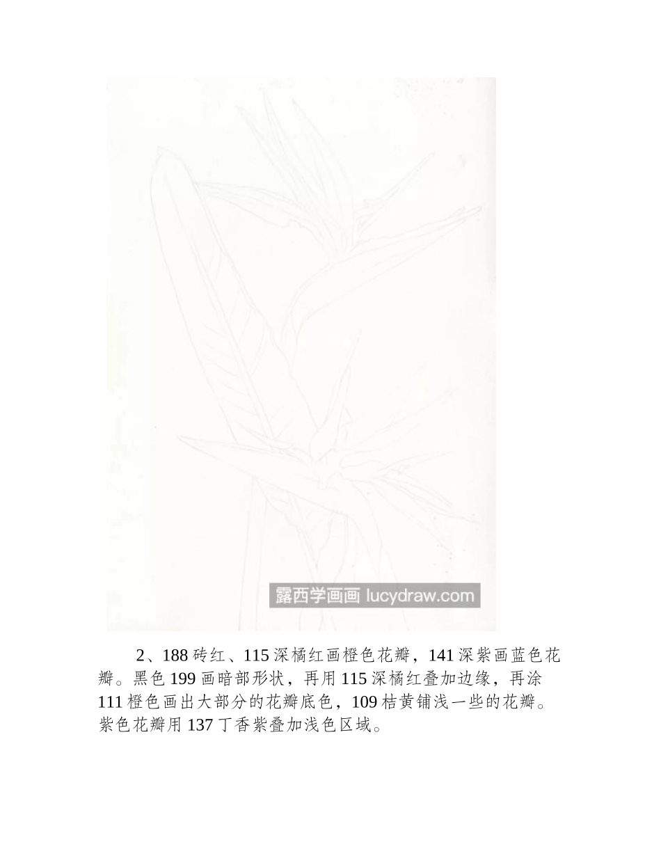 鹤望兰怎么画_详细的绘画流程是什么_彩铅画教程_第2页