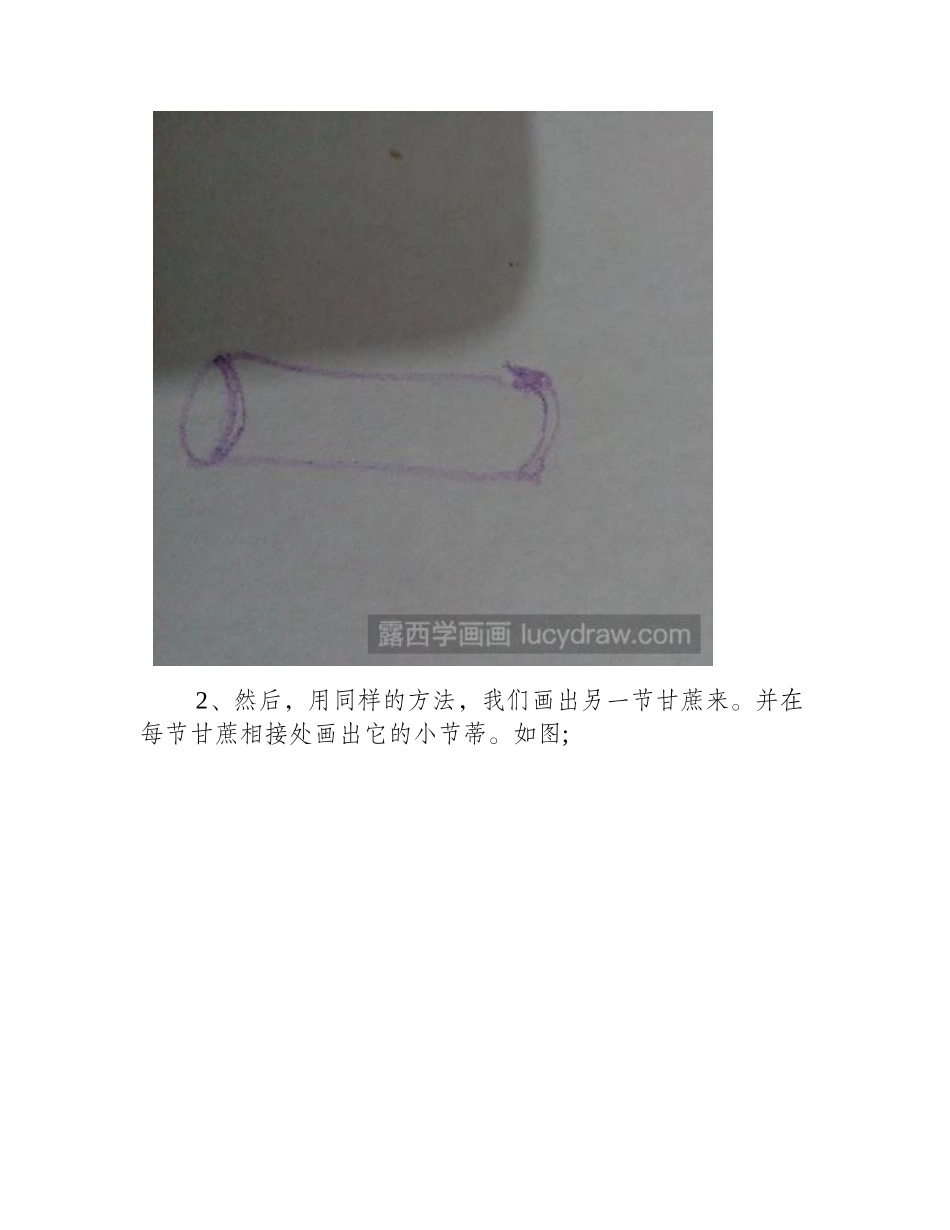 教你画甘蔗儿童画教程_第2页