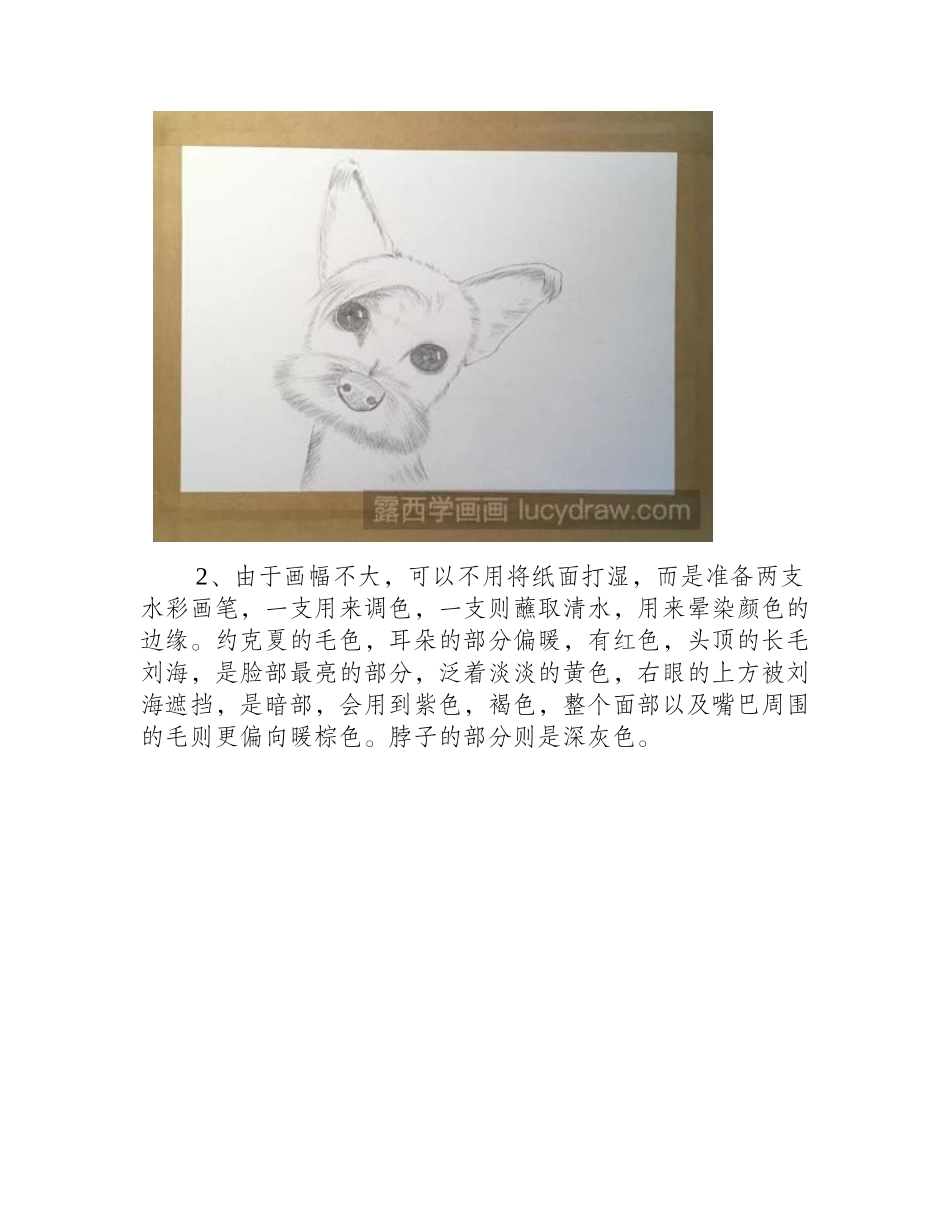 教你画小约夏克速写教程_第2页