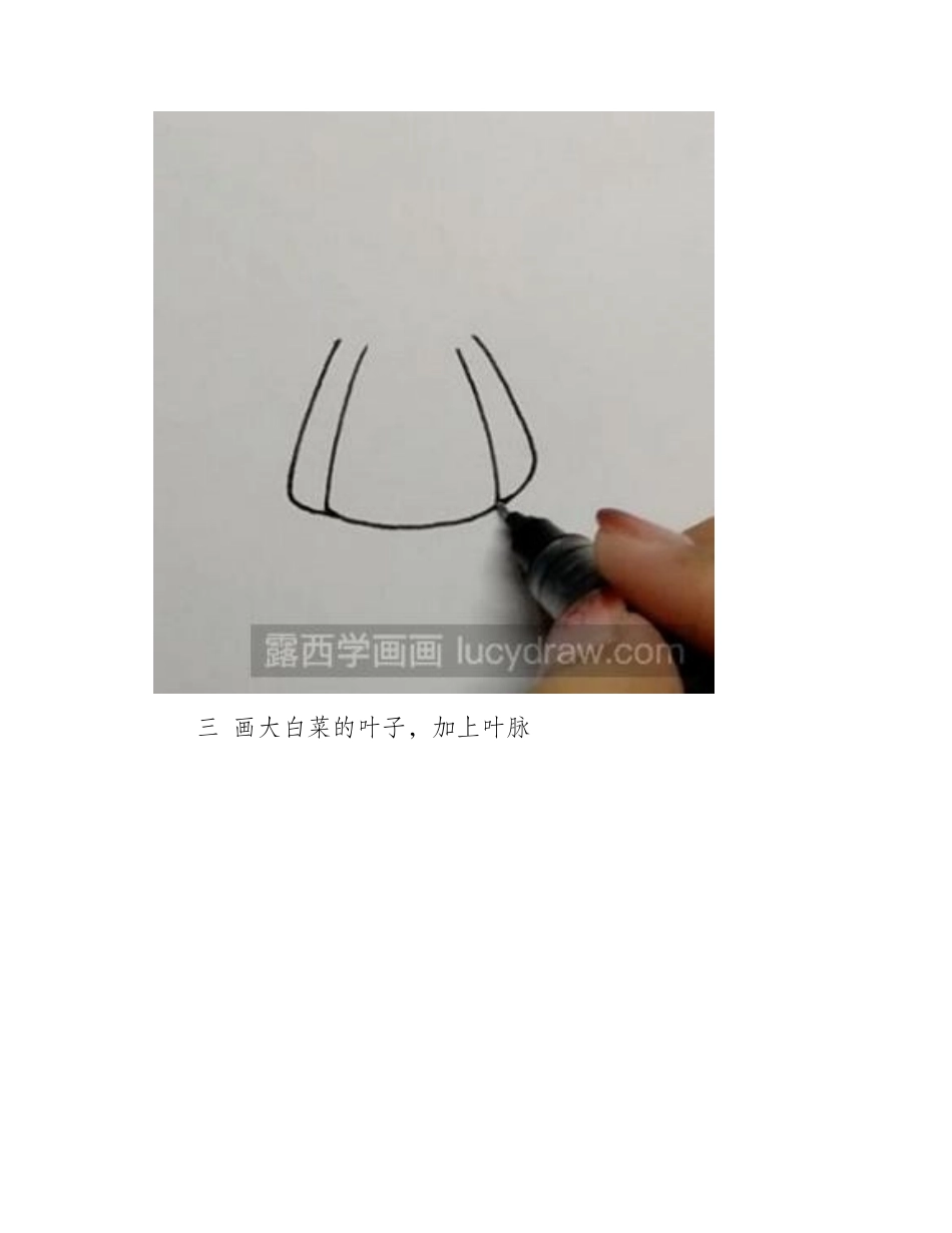 简笔画教程：教你画大白菜简笔画教程_第2页