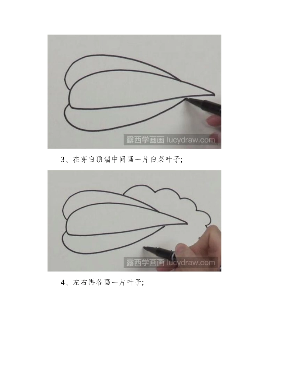 简笔画教程：大白菜怎么画简笔画教程_第2页