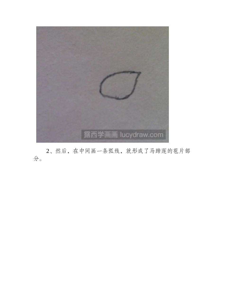 简笔画教程：教你画马蹄莲简笔画教程_第2页