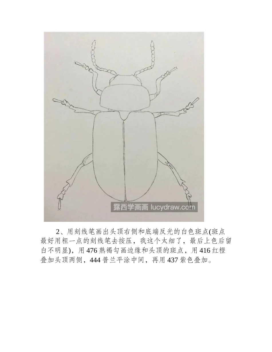 甲壳虫怎么画_详细的彩铅绘画步骤有哪些_彩铅画教程_第2页