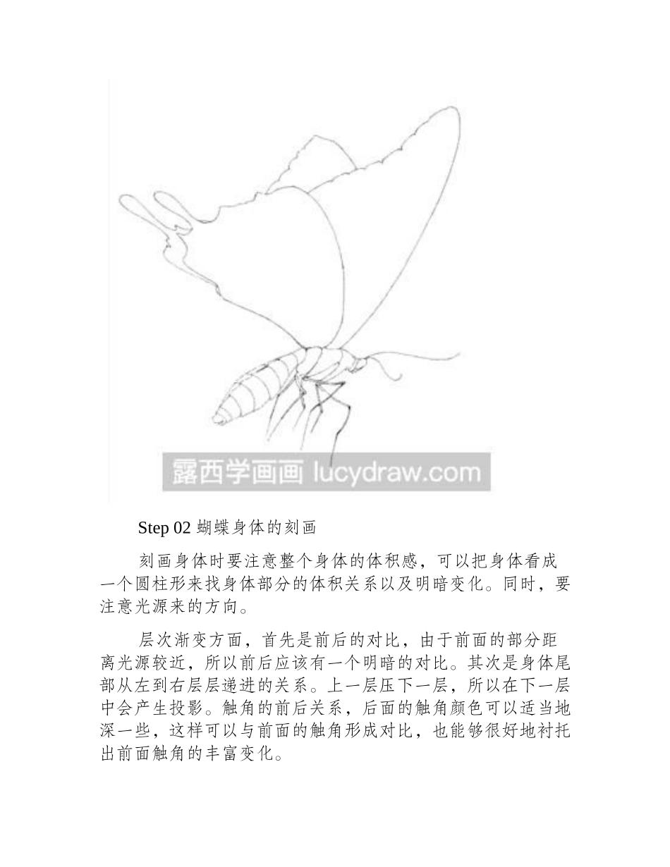 黑白手绘插画蝴蝶的画法插画教程_第2页