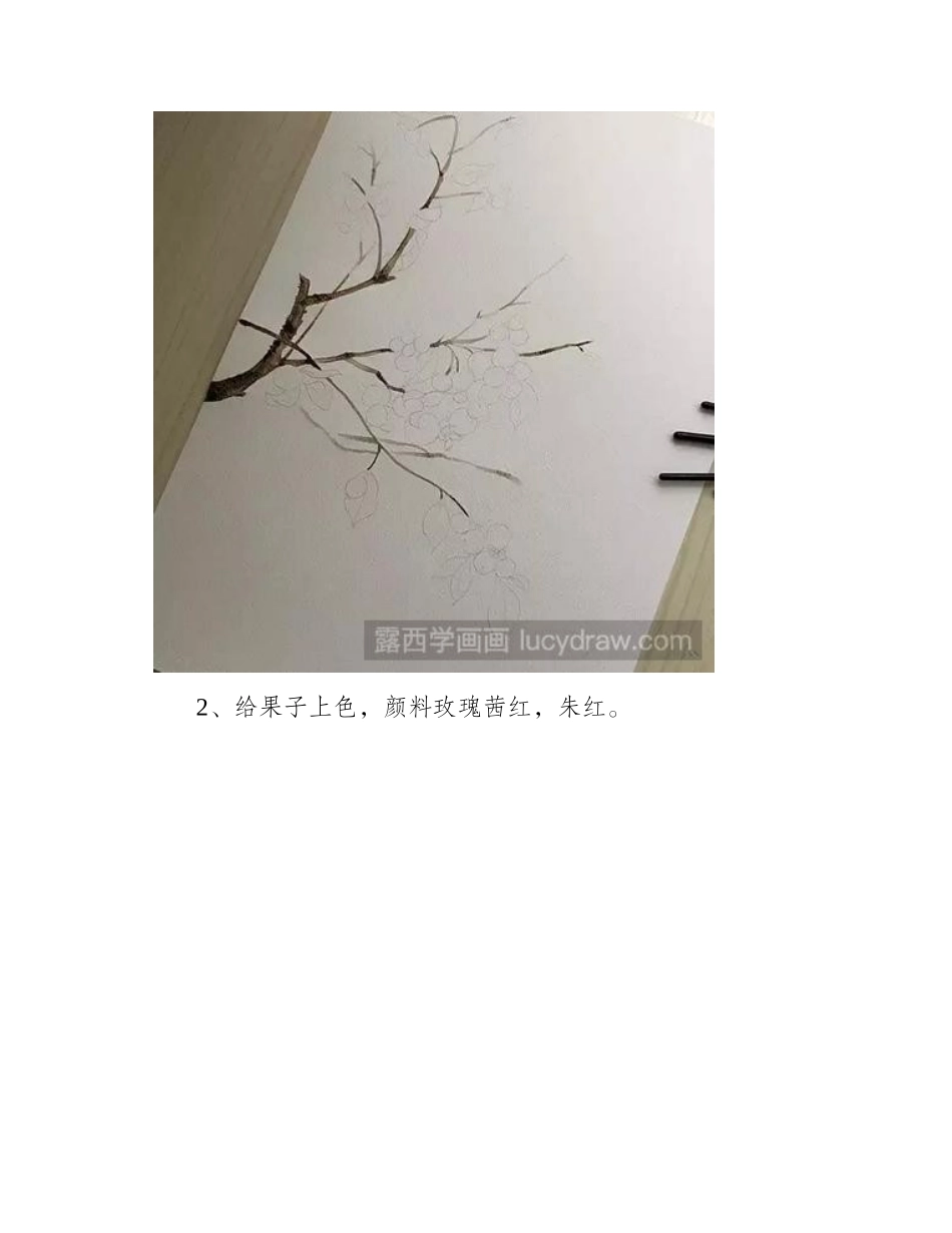 教你画乌饭树水彩画教程_第2页