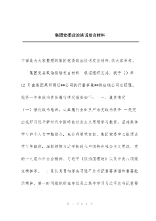 集团党委政治谈话发言材料