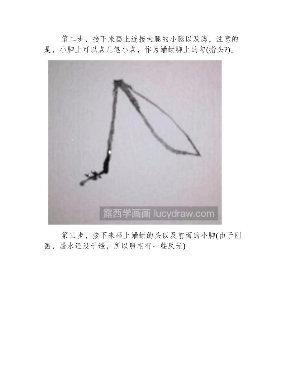 简笔画蛐蛐怎么画简笔画教程_第2页